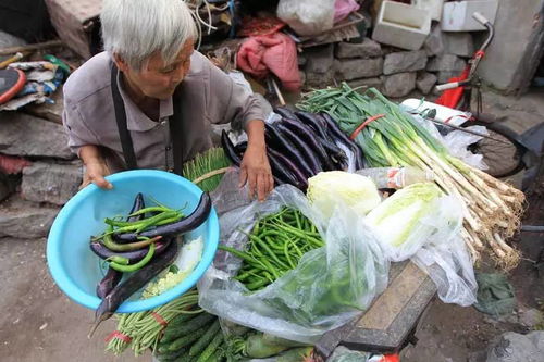 街边卖菜的老人图片