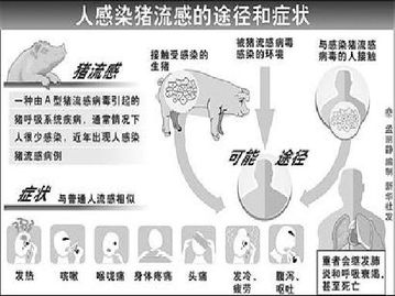 甲型H1N1流感病原体