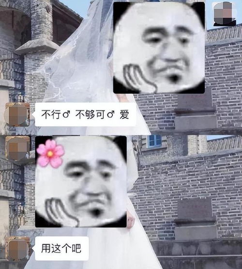 星落凝成糖免费播放