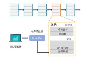 打假应该主要靠谁