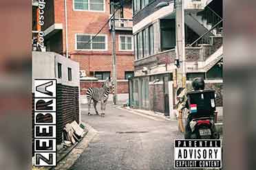 动物园流行逃亡？南韩街上出现斑马：被Ｐ成专辑封面！_动物园里面的斑马
