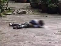 泸州坠楼事件最新,四川泸州一5岁幼童坠楼身亡 警方：系从23层