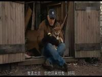 忠犬八公完整版国语版,经典电影《忠犬八公》