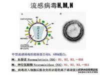 感染甲流病毒该如何治疗,你对解多少？感染甲流该如何用药？9问9答