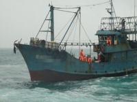 台湾渔船可以到捕鱼吗,对外卑躬屈膝，对渔船持续打击，台湾正在花样作死