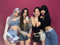 blackpink谁被孤立,封面评论｜大熊猫“违规被摸”谁是第一责任人？