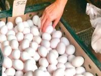 台湾鸡蛋荒原因,台湾鸡蛋荒持续，烘焙业者因缺蛋不敢接大单只能现做现卖