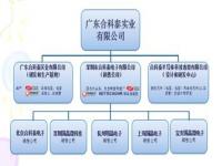 一个公司完整的组织架构,一个完整的施工组织设计包括哪些内容？