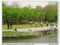 北京玉渊潭公园,北京玉渊潭公园游玩攻略