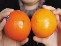 吃完橘子怎么洗手,吃完橘子没洗手摸这个，真的会爆炸！
