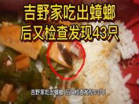 吉野家吃出蟑螂后，检查又发现 43 只，如何看待此事？食品卫生如何保证？,2021餐饮盘点 | 有人进有人退，有人学会与疫情共存