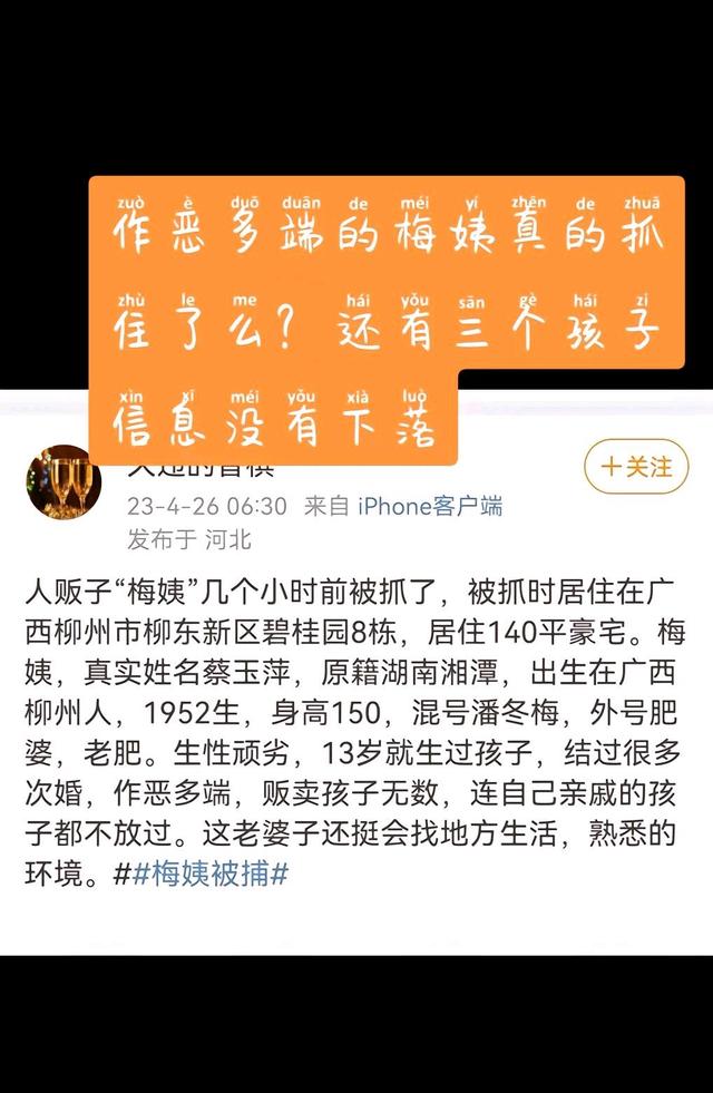 孙卓被拐案代理律师称梅姨已被抓是真的吗 梅姨被曝已经抓到警方回应