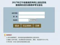 高考报名号是考生号吗_高考报名号是考生号吗?