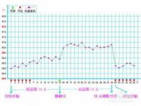 排卵期怎么算才最准确_排卵期怎么算才最准确计算器