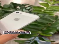 iphone手机拍照哪个最好_iPhone手机拍照哪个最好看