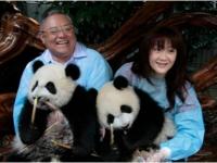 个人认养大熊猫条件_萌兰为什么没人认养了