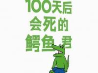 鳄鱼君100天后会死_鳄鱼君 一百天