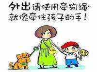 小区陌生人可以进吗_小区陌生人可以进吗现在