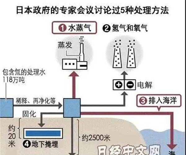 园田康博死没死 园田康博现状最新消息