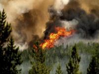 加拿大大火烧了多长时间了？_加拿大森林大火烧了多久？