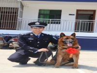 警犬退役之后去哪了？_警犬死之前为什么离开家？