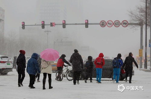 黑龙江已发布暴雪红色预警_2021年黑龙江降雪几年一遇？