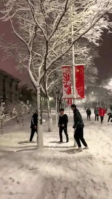 今天的沈阳下雪了_沈阳下雪了