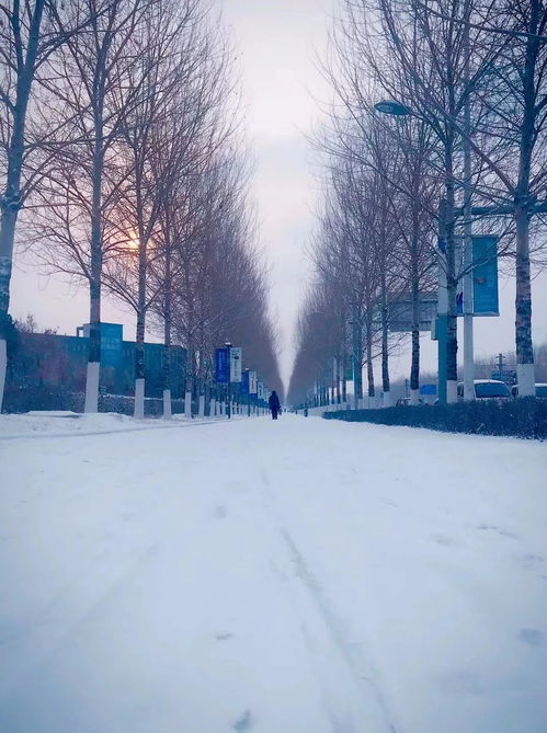 今天英雄回家沈阳下雪了_今天的沈阳下雪了 沈阳全城以最高礼遇接英雄回家！