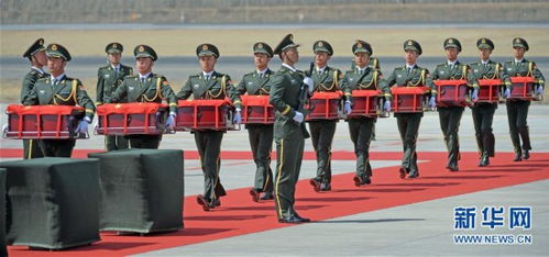 第10批在韩中国人民志愿军烈士遗骸归国_第十批在韩中国人民志愿军烈士遗骸回国