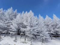 南方艳阳北方大雪_你在南方的艳阳里大雪纷飞，我在北方的寒夜里四季如春。什么意思啊？