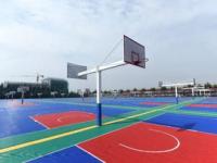 佳木斯市第十五小学有多少学生_佳木斯哪有篮球场