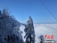 雪后的四川瓦屋山银装素裹_多图｜太美啦！眉山洪雅瓦屋山今冬第一场雪景是这样