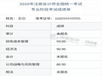 CPA 还不出成绩_速来查询！2023年注会考试成绩已公布， CPAer们还需考虑这些事