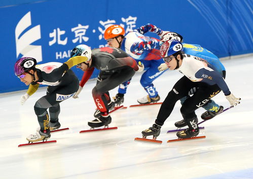 短道速滑世界杯明日北京开赛_短道速滑世界杯北京站明日开赛，北京冬奥冠军任子威主场回归！