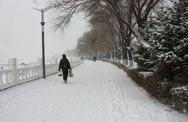 #下雪了#下雪了！停课、错峰上下班…多地紧急通知