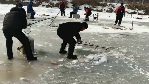 冰面上的影子浓缩了东北冬日乐趣_冬日时节 吉林江滨公园湖面宛如水墨画