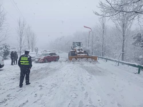 河南应对雨雪寒潮_全力应对雨雪寒潮丨低温雨雪天气持续 河南各地各部门加强重点领域防范应对