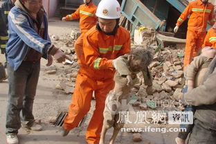 地震已致青海海东18人遇难198人受伤_地震已致青海海东18人遇难198人受伤