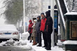 哈尔滨大雪人已就位_哈尔滨大雪人亮相