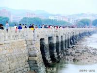 这座石桥稳固千年牡蛎帮了大忙_中国第一座跨海石桥，名为洛阳却在福建，900多年靠牡蛎固定