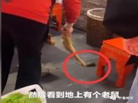 高校就食堂调料罐中发现老鼠致歉_高校就食堂调料罐中发现老鼠致歉：成立专班调查