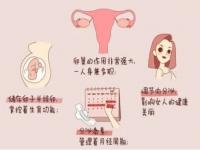 卵巢早衰有哪些信号_身体出现以下“5”大症状时，可能你的卵巢早衰了，早发现早调理