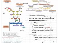 浙大学霸的笔记精美得像教科书_60位浙大学霸晒出学习笔记，精美得像教科书，网友说，学霸和自己的差距太大了