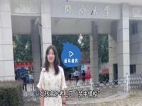 梦里情什么意思_黄土坡上的情是哪首歌的歌词