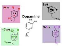 多巴胺的胺怎么读_原来我们整个夏天都读错了‘多巴胺’，真是白活了