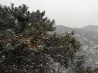 郑州朋友圈最美雪景_郑州十大最美雪景，下雪的时候终于有地方去了