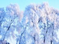 看雪除了去哈尔滨还有啥地方_国内看雪景的十大绝佳地点