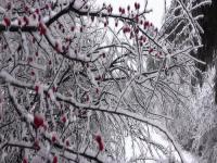 绵阳看雪景的十大绝佳地点_12月去哪里看雪推荐看雪的最佳地点