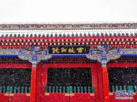 故宫白雪红墙的氛围感_氛围感拉满 北京故宫白雪镶红墙碎碎坠琼芳