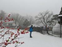 #济南 雪呢#三预警齐发！今日中午到前半夜济南有暴雪，中小学幼儿园学生居家学习